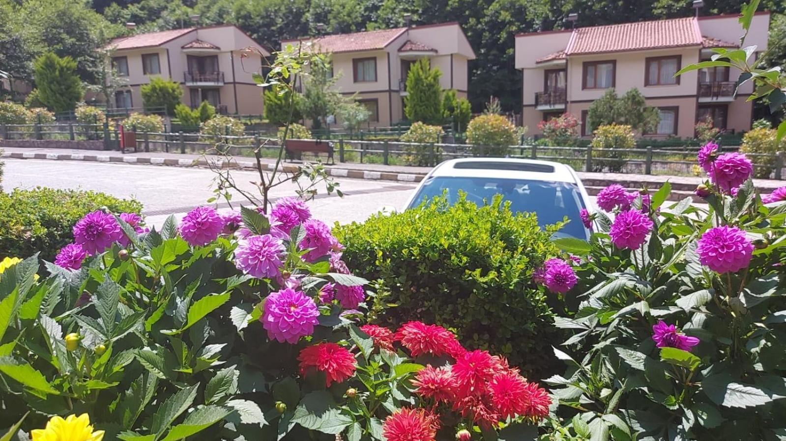 Ridos Thermal Hotel & Spa Ikizdere  Exterior photo